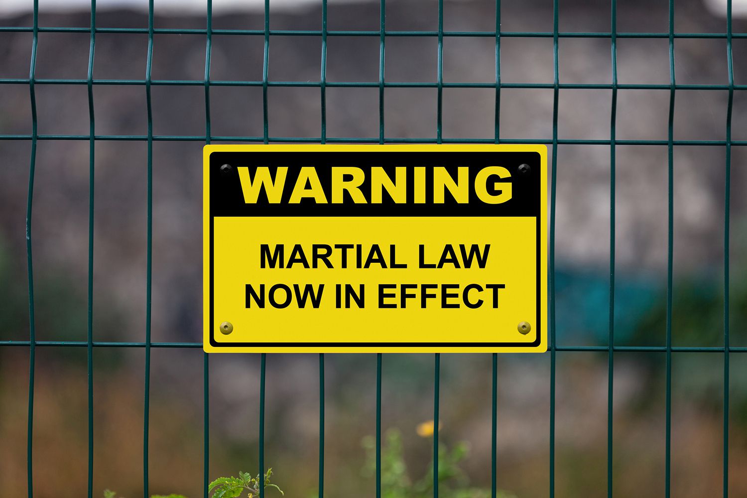 martial law in effect